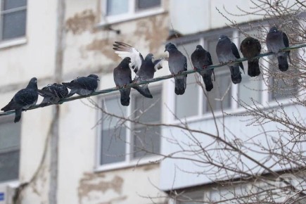 Думаете весна уже наступила, потому что на календаре 1 марта? Это не так