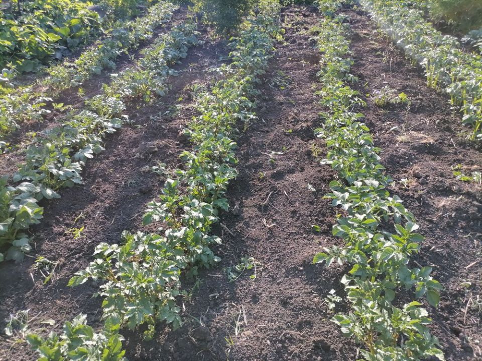 ������ ������� ������������ ����� ����� � ��� �������� �������� �����