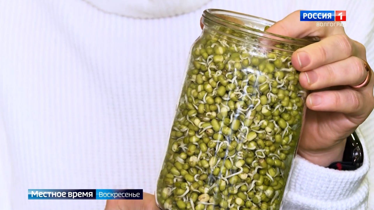 Выращивать зелень прямо на своем подоконнике предпочитает немало россиян Выращивать зелень прямо на своем подоконнике предпочитает немало россиян