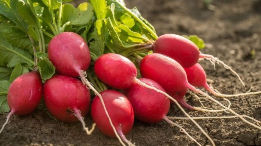 ��� ��������� ����� �� 25 ����: ������� ������ �� ��� ������ ������