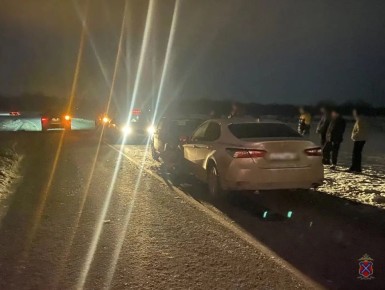 Четверо детей пострадали в ДТП под Волгоградом