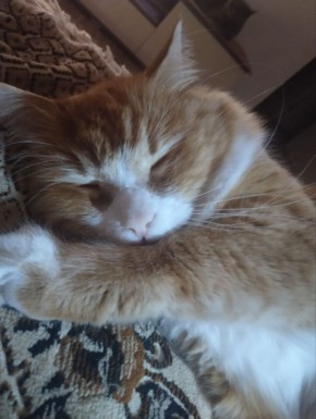 ������������� ������ ����� ���� �����