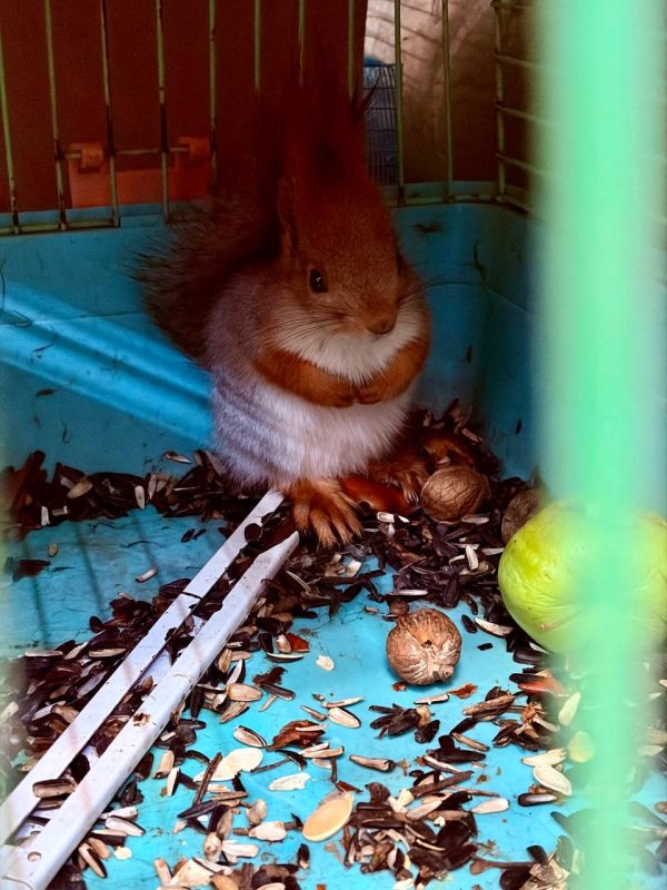 �������� � �� ������� ������ ��������� ��������������� �� ���������� ������� � ��������� � ����� ����������������