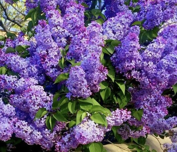 ��� ��������� ����������� ������ � ����: �������� ������ ��� ����������