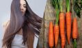 Как морковь помогает вашим волосам: удивительные маски для роста