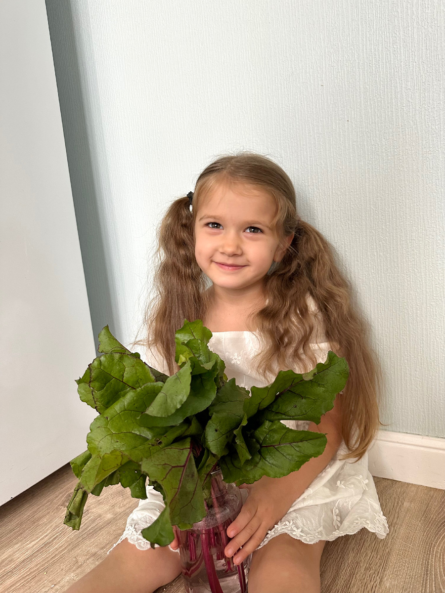 Свекольная ботва: секрет здоровья и вкусных рецептов