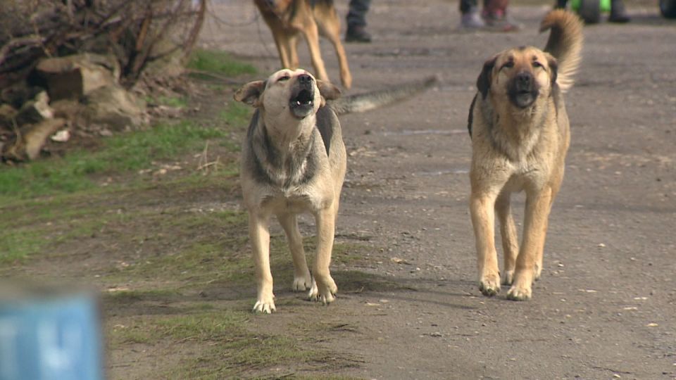 ��������� ��������� ������� ��������� ���� ����� ����� �� ��������� ����� � ��������