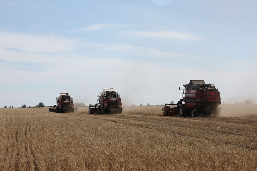 1 Волгоградские аграрии собрали рекордные 5,9 млн тонн зерна