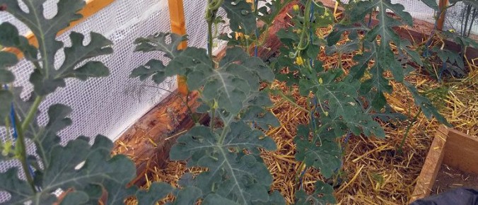 ������ �� ����������� �������: ������� �������� � ������