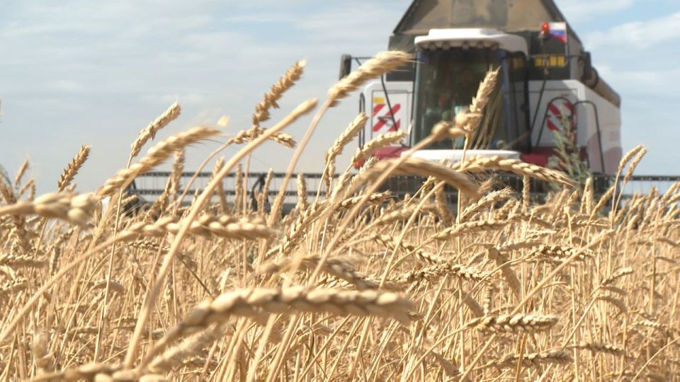 � ������������� ������� �� 46% ������ ������� �������� � ������������ �������