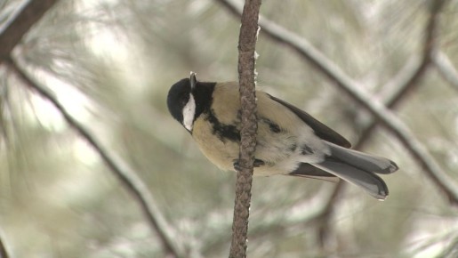 ������ � ������ ������ ����� ������� ������� ������������� �������