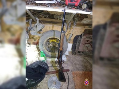 Под Волгоградом мужчине вынесут приговор за хранение старинной винтовки и наркотиков