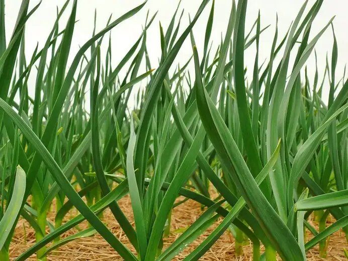 ��� ��������� ������������� ������: ��� ����� �������� � ����� ������� ���������