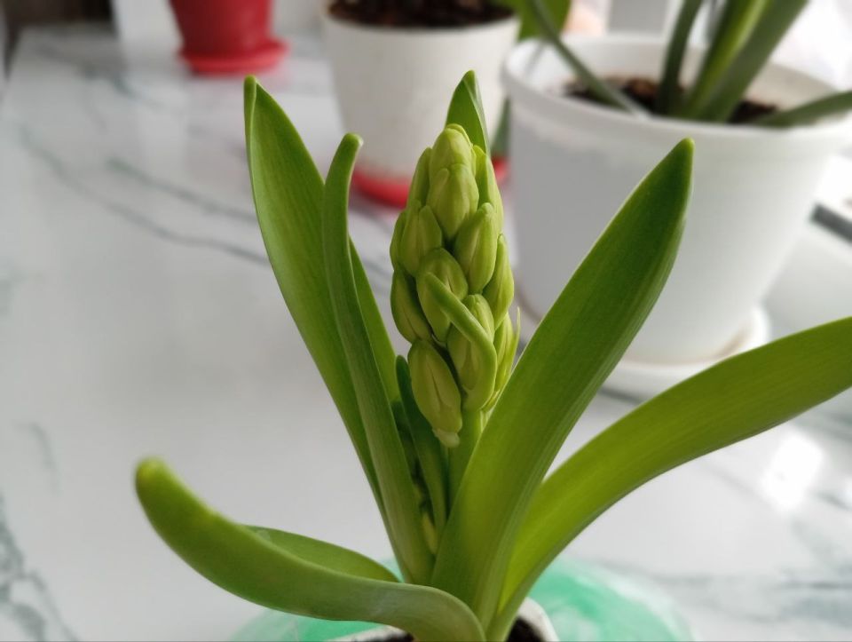 ������ �� 8 �����: � ���������� ������ ����, � ����� ����� �������