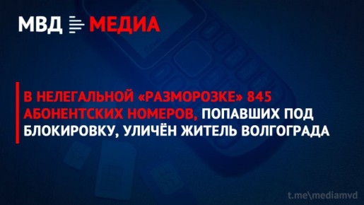 В нелегальной «разморозке» 845 абонентских номеров, попавших под блокировку, уличён житель Волгограда