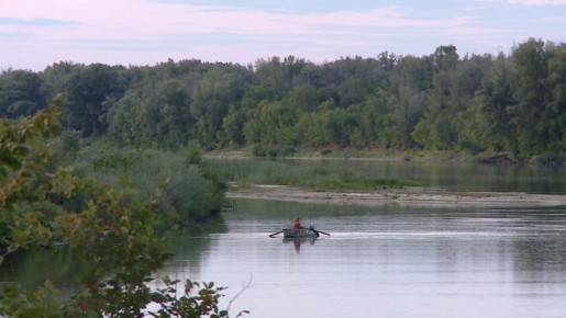 Волгоград вошел в топ-10 направлений для отдыха на дикой природе в марте