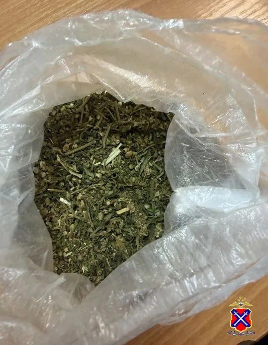 Следователь Алексеевского района завершил расследование в отношении мужчины, незаконно хранившего старинную винтовку и растительный наркотик