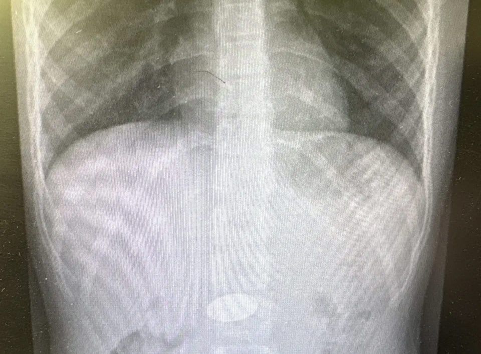 � ���������� ������ ��������, ������������� ������������ ������