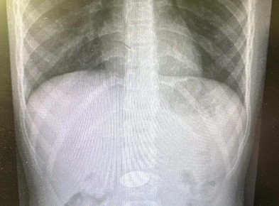 � ���������� ������ ��������, ������������� ������������ ������