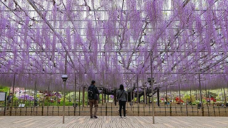 ����, ������� �������� ����������: 15 ������������ ����������