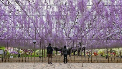 ����, ������� �������� ����������: 15 ������������ ����������