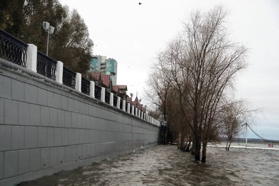 � ��������� ������� 25 ���������� ������� ��������� � ���� �������� ����� �����������