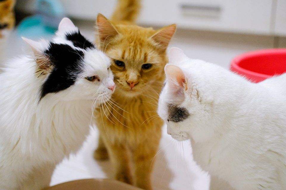 170 ����� � 5 ����� ��������� � ���������� ����� ������ �������