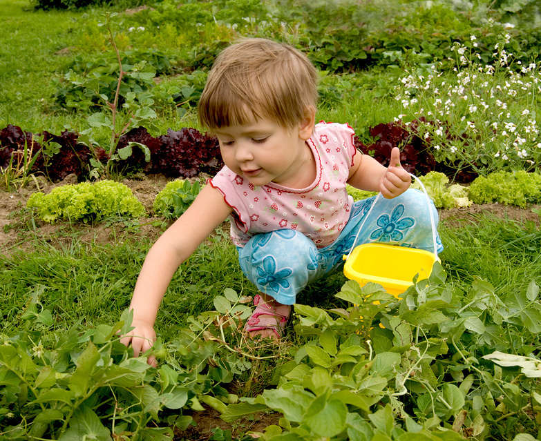 Как сделать детский огород весёлым и увлекательным