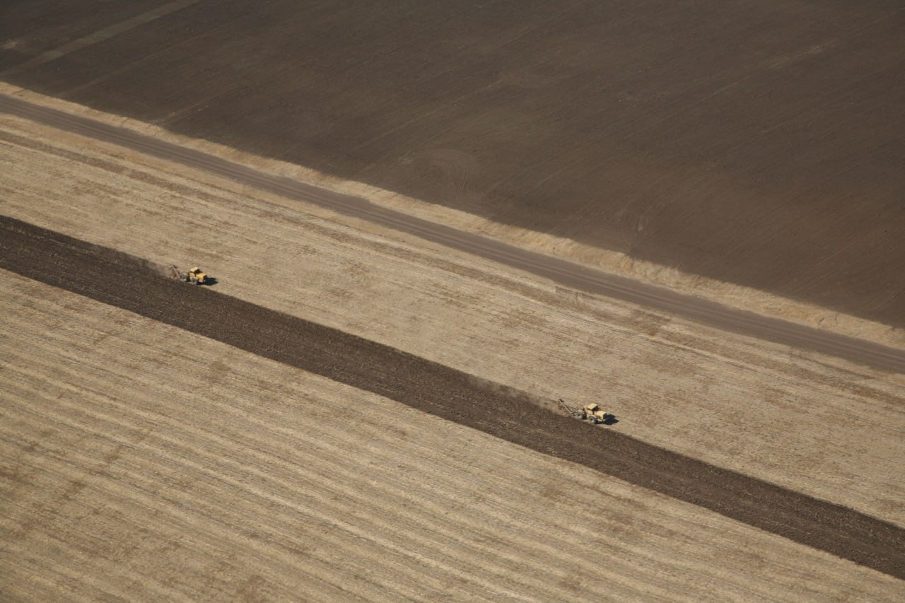 К подкормке озимых приступили на волгоградских полях
