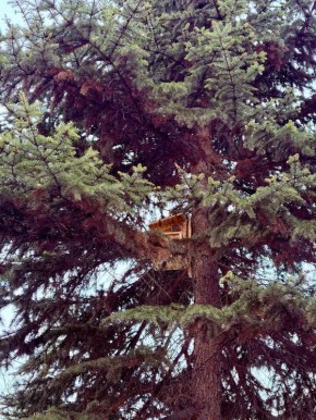 � ���������� 8 ����� ��� ���� ������������ ������ ��� ����� � ����� ����������������