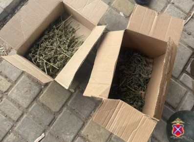 ������������� ����������� ��������� �������������� � ���������� �������� ���������, ������, ����������� � ���������� �������