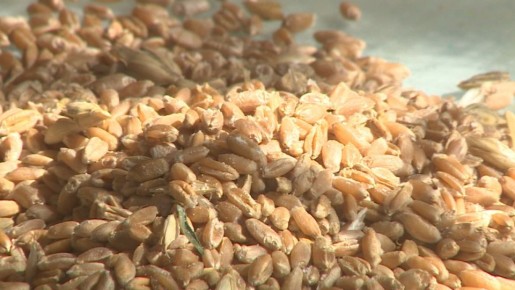 ������������� ������� ������ � ��������� ���� ��������