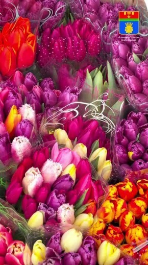 � ����� 8 ����� ��� �������� ������������ � ��������� ������ � ������ ������ ������ ������������ ������������������ �������� �� ������� ������