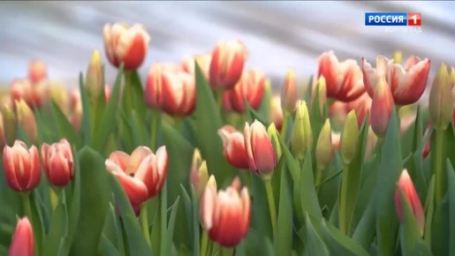 � ���������� �������������� �������� ��� � ������������� �������� ������� ����!