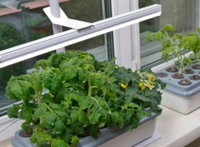 ��� �������� ����������� �������: �������� ������� ��� ��������� �����