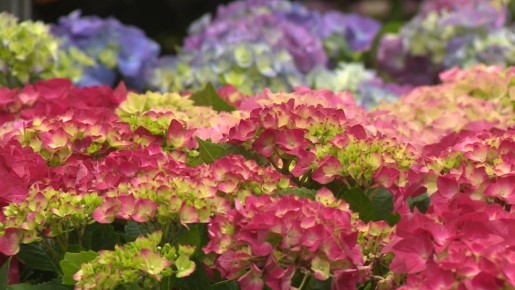 ������ ���������� ����� ������ ������� �� ������� � ������ �� ����� � 8 �����