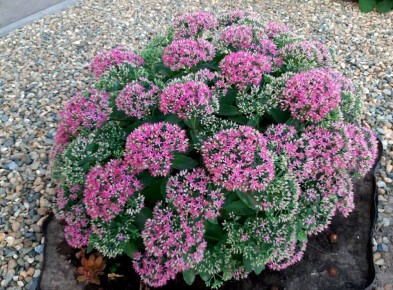 ���������� ������: �������� �������� ��� �������� ����