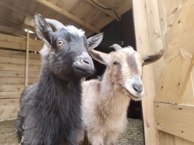 ��� ����������� ������� ���������� � ������� ���������� � ����� ����������