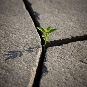 ����� ��� ���������: ��� ������������ ���� ���������� ��������� ����