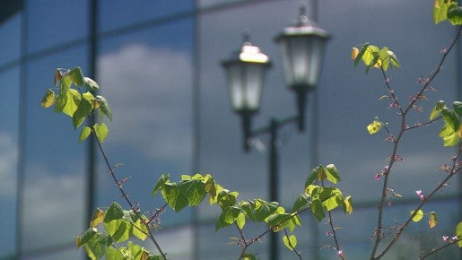 ���� �� ����� ����� ������������� �������, �� ����� ���� � ������������� ������