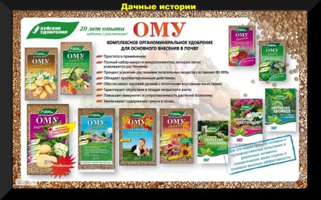 ����������� � ������� �����������: ������, ������ � ������ � �������