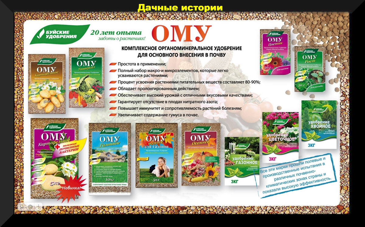 Разбираемся в основах садоводства: семена, всходы и забота о рассаде