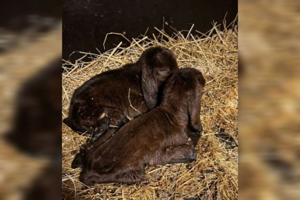 ���� ������ �������� � ����� ���������� � ���� �� 8 �����