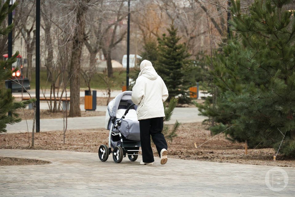 Около 600 женщин в возрасте до 24 лет получили единовременную выплату при рождении первого ребенка в Волгоградской области с начала 2026 года