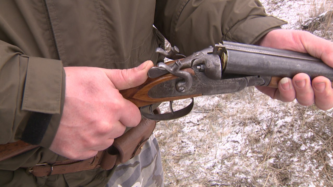 Троих волков отстреляют в Волгоградской области