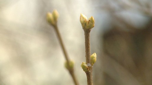 � ��������� ������� ������������� ������� ��������� �� +15�