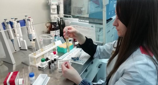 20 ���� ���������� ������� � ���� ���������� �� ������������� �������