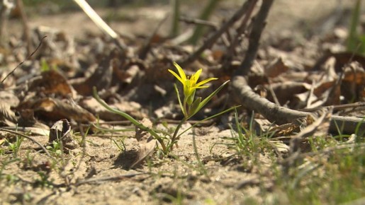 � ���������������� ����������, ����� �������� ���������� ������