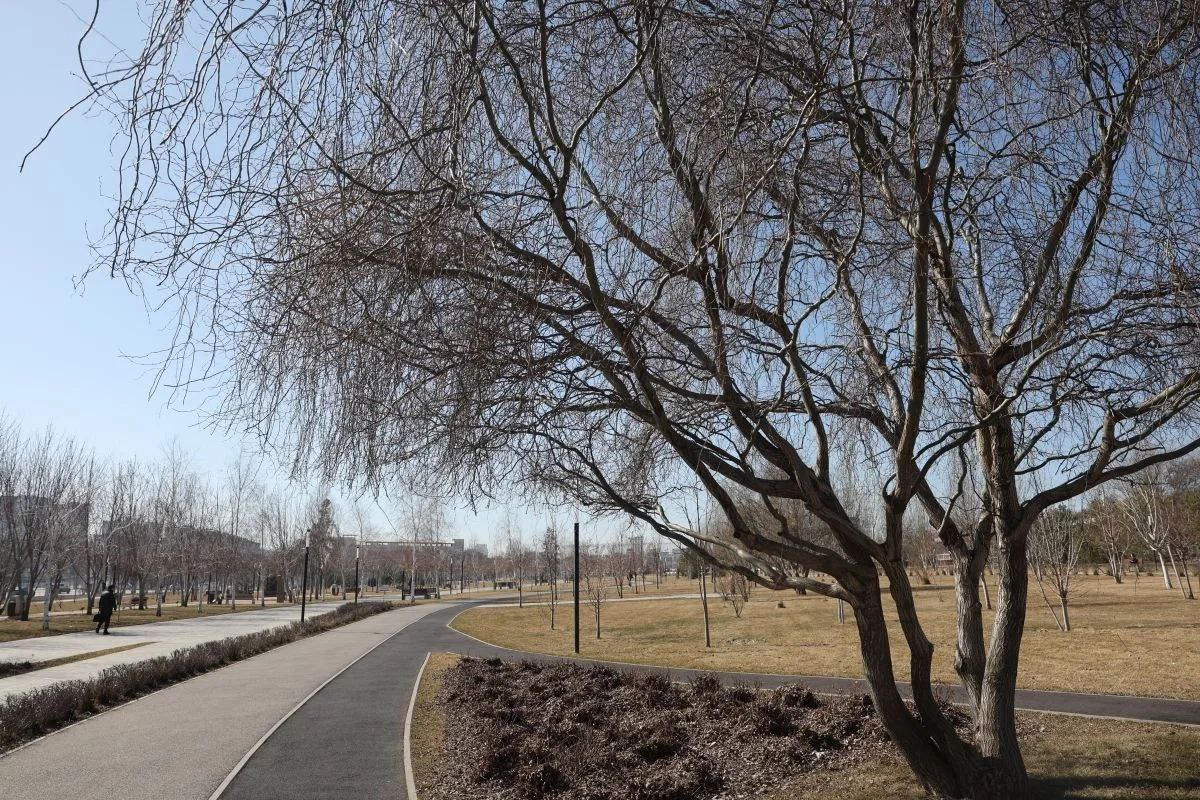 Андрей Бочаров поставил задачу в мае подготовить площадку и фундамент под будущий памятник, посвящённый подвигу героев спецоперации Андрей Бочаров поставил задачу в мае подготовить площадку и фундамент под будущий памятник, посвящённый подвигу героев спецоперации