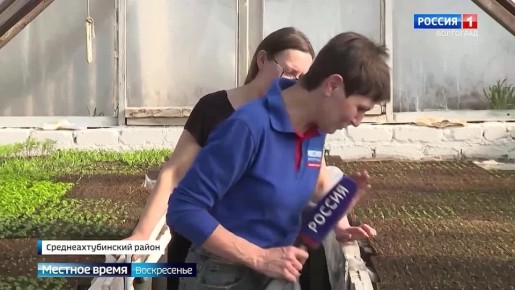 Весенний ажиотаж! Волгоградские фермеры выращивают рассаду в теплицах